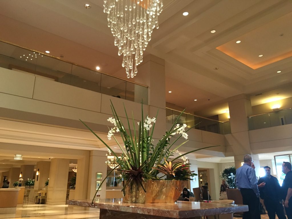 Review Hilton Lax Airport Frankfurtflyer De