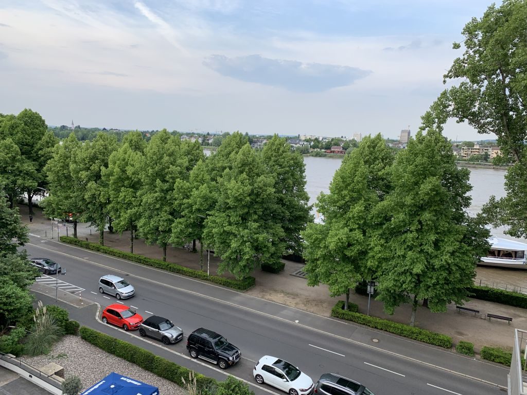 Aussicht auf den Rhein