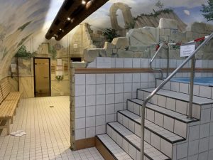 Crowne Plaza Heidelberg Wellness Bereich