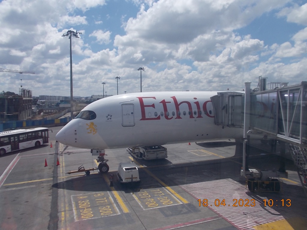 Flug Addis Abeba - Frankfurt Ethiopian Airlines frankfurtflyer.de
