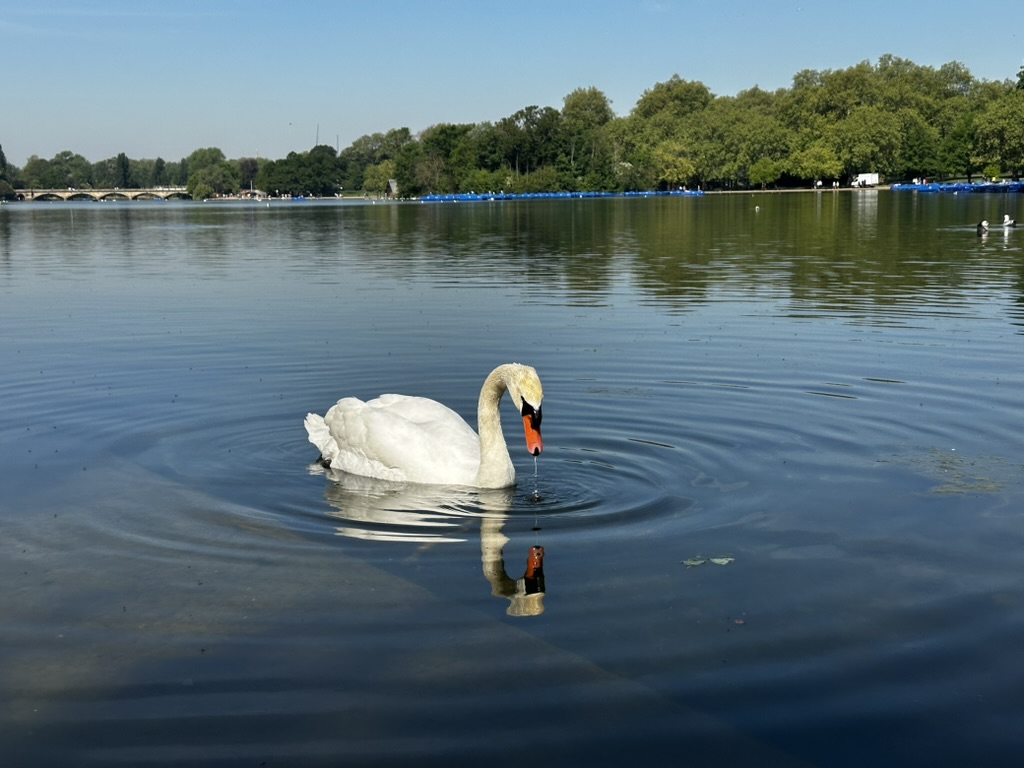 Unterwegs in London, Foto: Robert